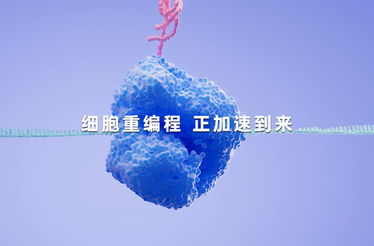 METiS 解决方案平台