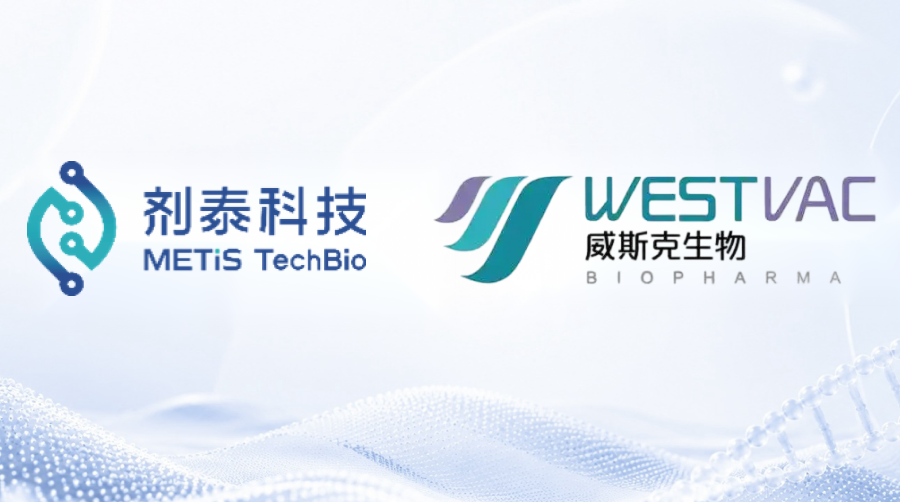 剂泰科技与威斯克生物达成战略合作，加速研发AI驱动下一代个性化mRNA肿瘤疫苗